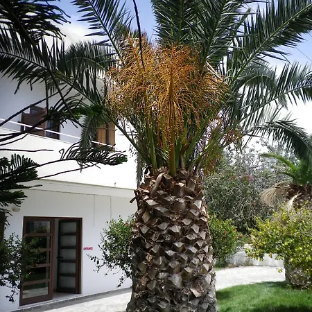 Appart hôtel Mastorakis And 3*